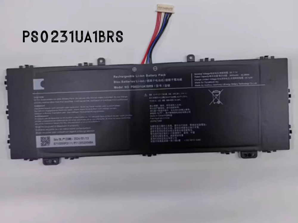 TOSHIBA PS0231UA1BRS